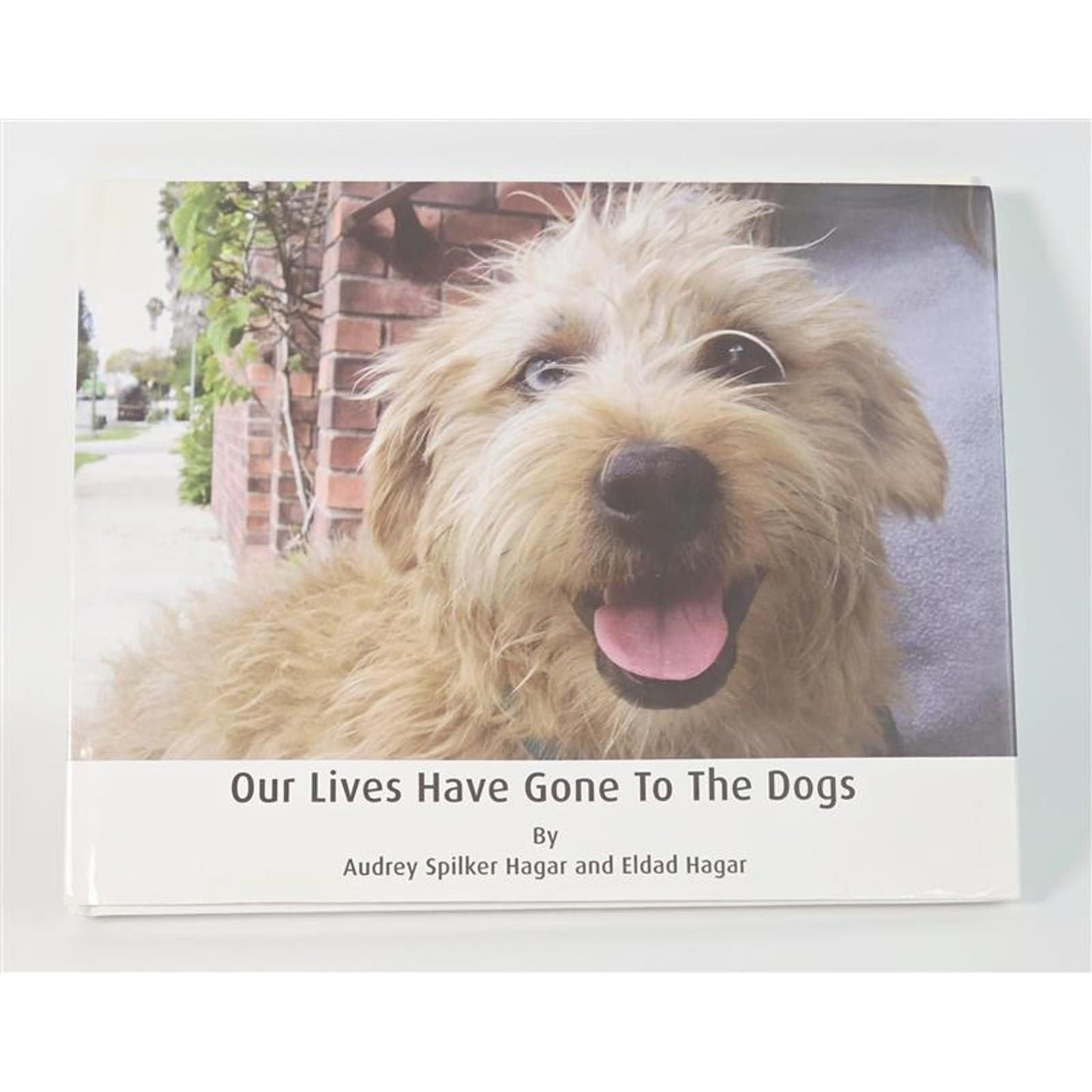 🐾 Our Lives Have Gone To The Dogs – Hardcover by Audrey & Eldad Hagar (New)