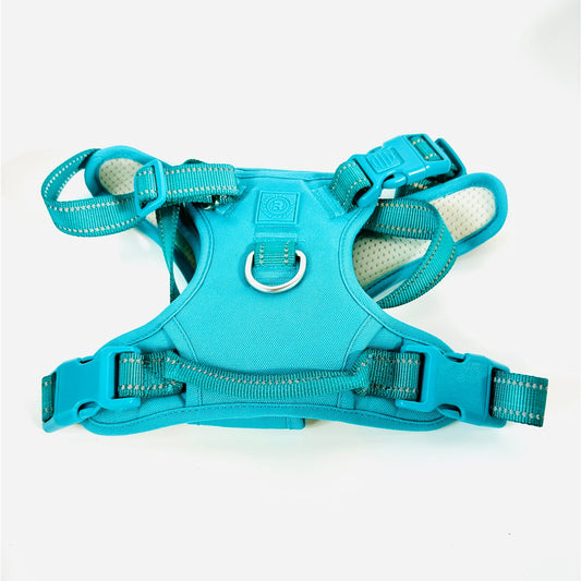 🐕 Sunraymascota Dog Harness Turquoise w/ Handle Adjustable New